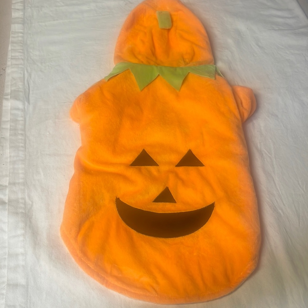 NWOT dog costume
